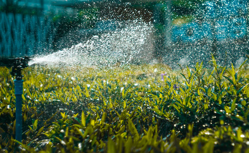 What Factors Should Be Considered When Installing a Lawn Sprinkler System?