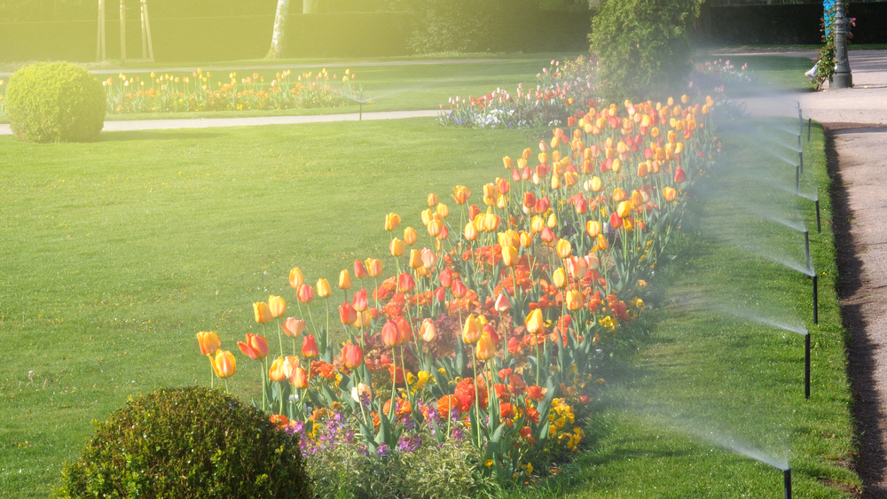 In-Ground Sprinkler Systems