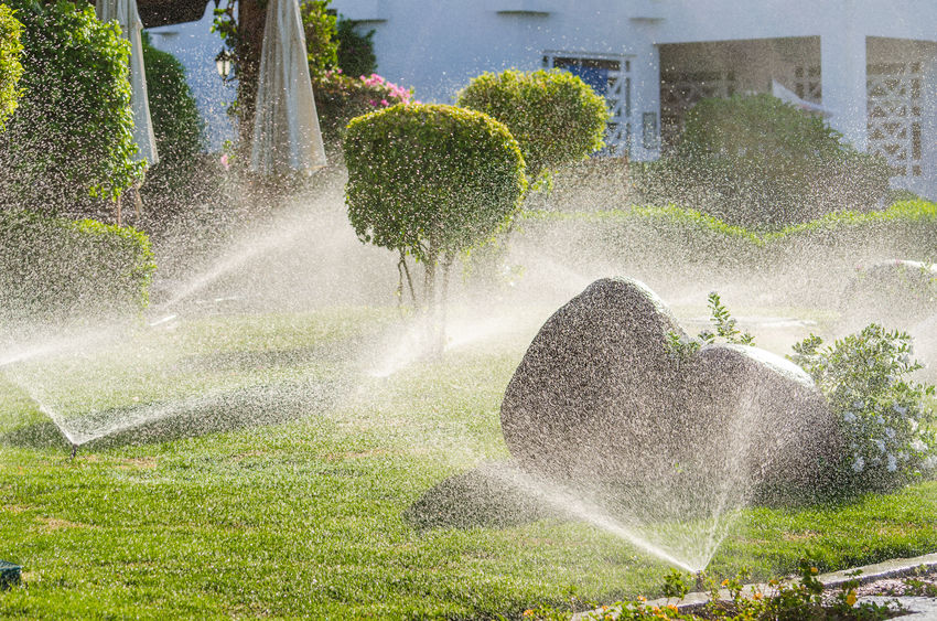 What Is a Lawn Sprinkler System?